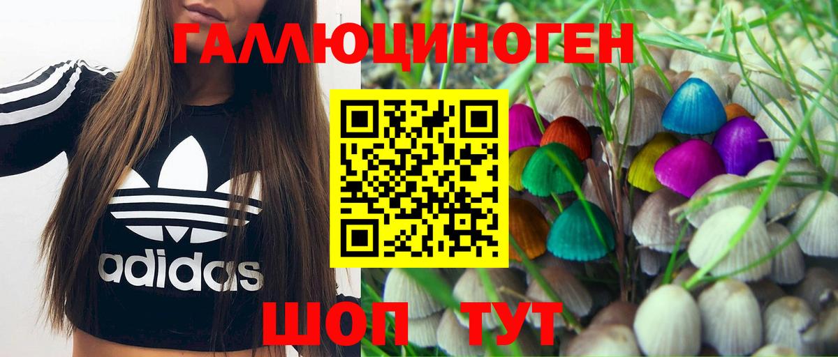 Галлюциногенные грибы Cubensis  Вход с VPN  Псилоцибиновые грибы Psilocybe  Сертолово 